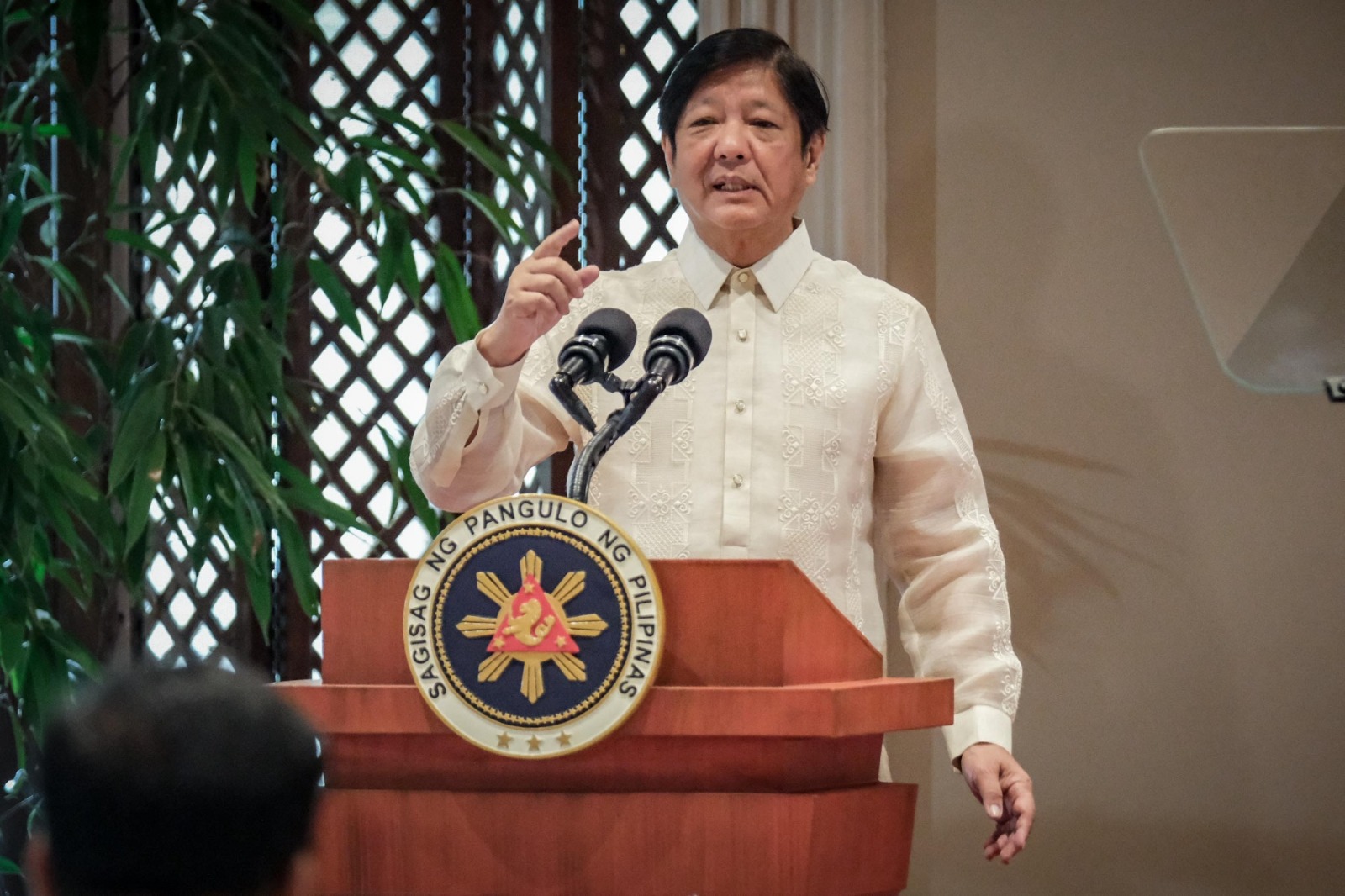 Bongbong Marcos: PH doing first step of federal gov't 'in all but name'
