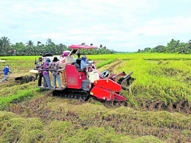 In South Cotabato, gov sees rice sold at P30/kilo