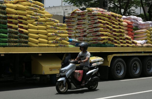 5 million metric tons of palay harvest seen to stabilize rice prices