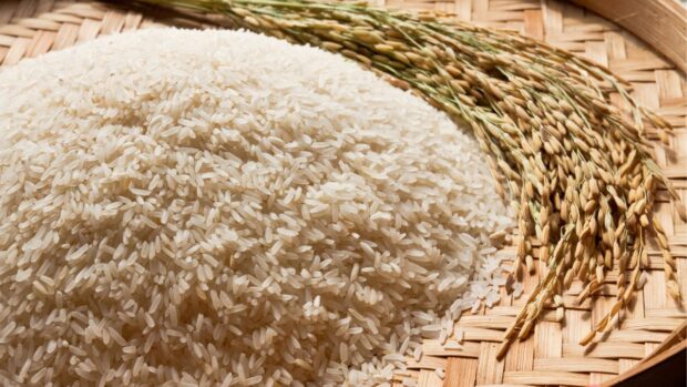 Bongbong Marcos order government agencies to strictly enforce rice policies 