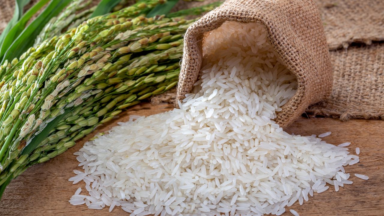 P29 rice sold at Kadiwa stores, says DA