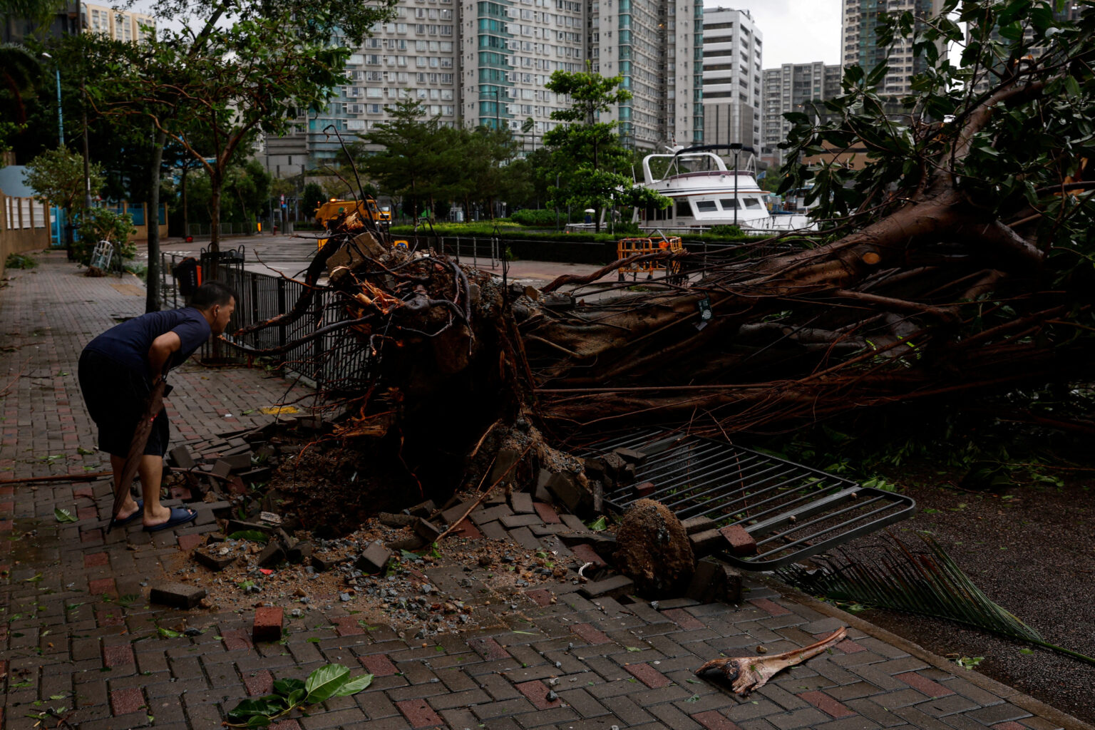 Typhoon Saola makes landfall in Guangdong after slamming Hong Kong ...