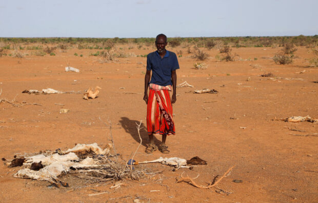FILE PHOTO: Dhicis Guray, an internally displaced Somali man, looks at the carcass of his dead livestock following severe droughts near Dollow, Gedo Region