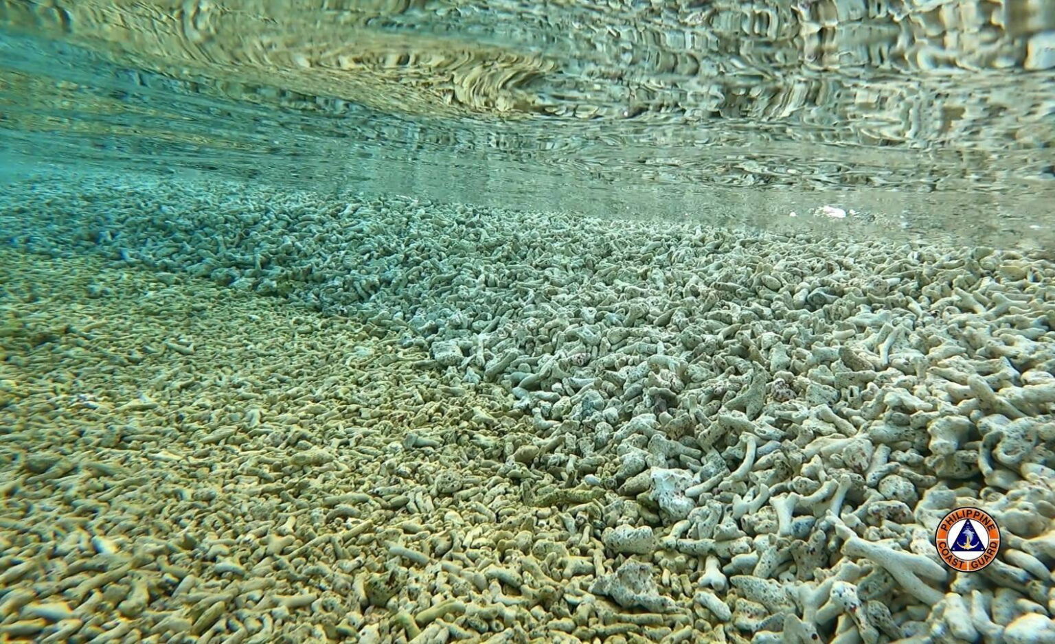 Coast Guard Surveys ‘deliberate’ Reef Damage 