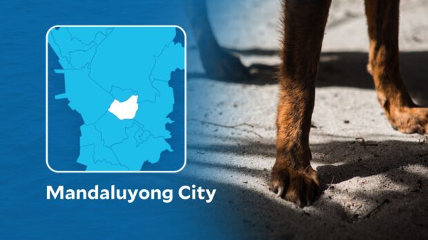 Mandaluyong map superimposed with closeup photo of dog’s legs.