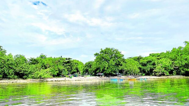 The island’smangroves serve as habitat not only of marine life in the surroundingOyonBay but also of different species of birds, other animals and plants.