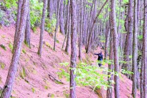 Split of Baguio barangays from John Hay under way
