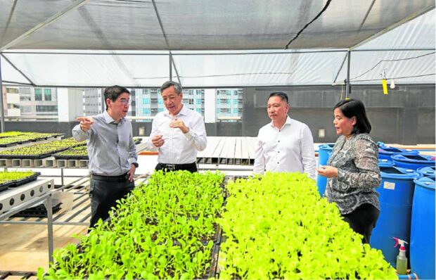 Robinsons Offices, FarmTop take urban agri to new heights