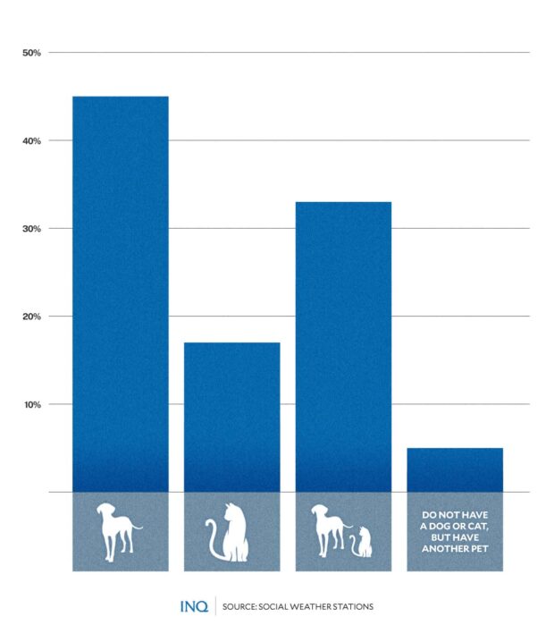 The why behind the rise of pet parenting in PH | Inquirer News