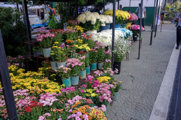 Baguio has enough flowers for ‘Undas’–DA