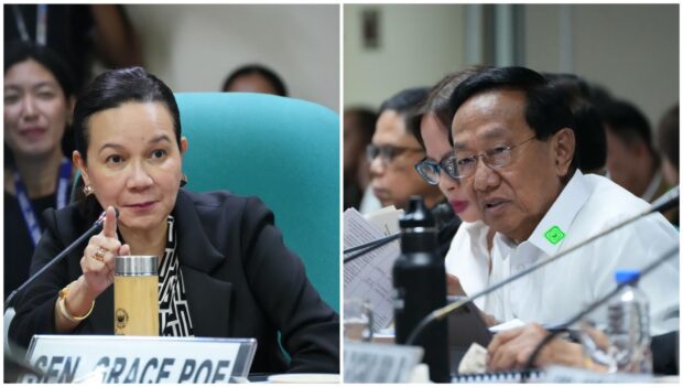 Sen. Grace Poe has asked the Department of Public Works and Highways (DPWH) to lay down its existing infrastructure and plans to control the perennial flooding in Metro Manila.