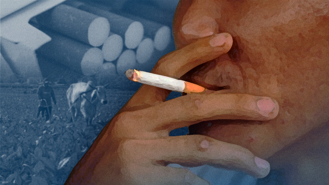 Flavor chemicals: Culprit behind PH ‘tobacco epidemic'