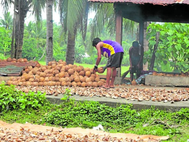 Group to new agri chief: solve rice crisis, help coconut farmers