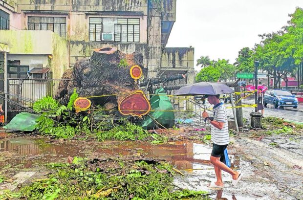 No storm, but heavy rain,strong winds hit Bicol