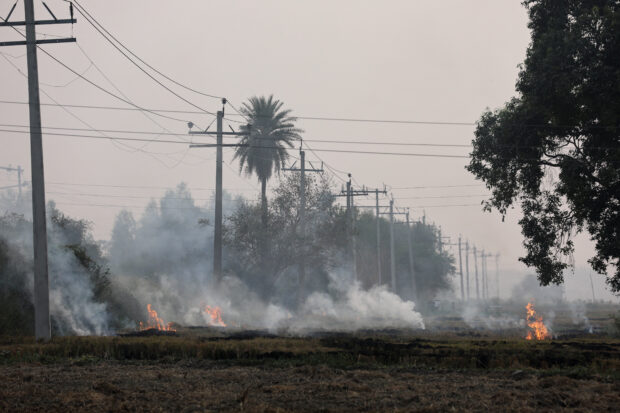 Indian farmers carry on burning stubble despite cost to health
