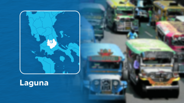 jeepneys ply the streets of Laguna