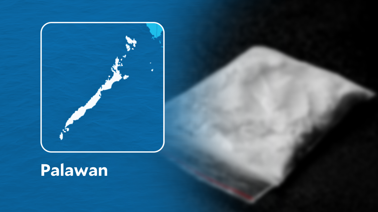 Cocaine worth P800,000 found in Palawan town's shore