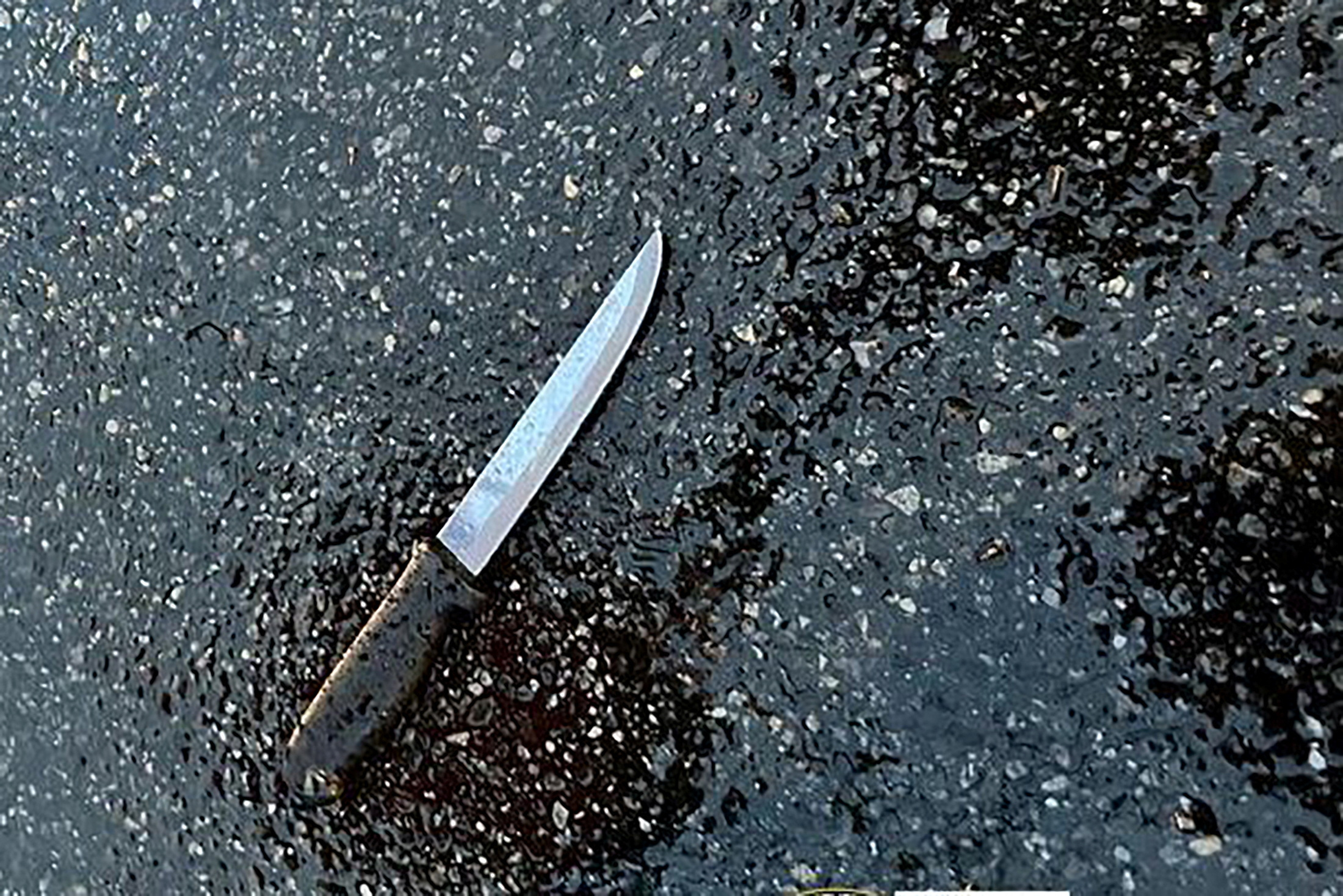 Man stabs 4 to death in New York's Queens, cops shoot him dead