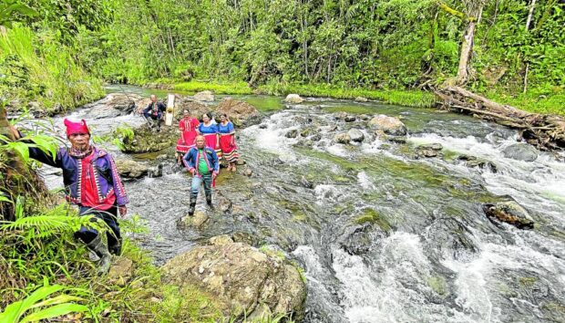 Eagles thrive in forests guarded by Bukidnon tribe