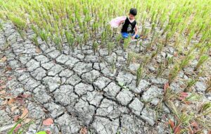  El Niño could make 2024 hotter than record 2023