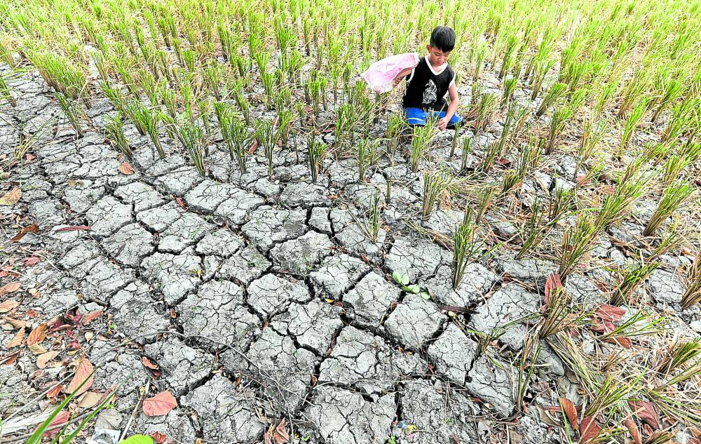 8 provinces now experiencing drought due to El Niño — OCD