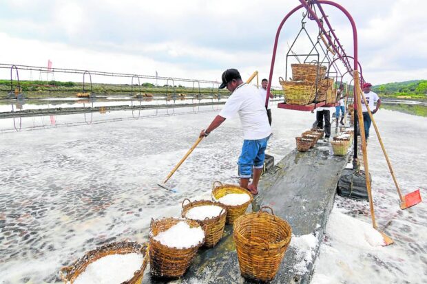 In Pangasinan, revived salt farm seen to rescue industry