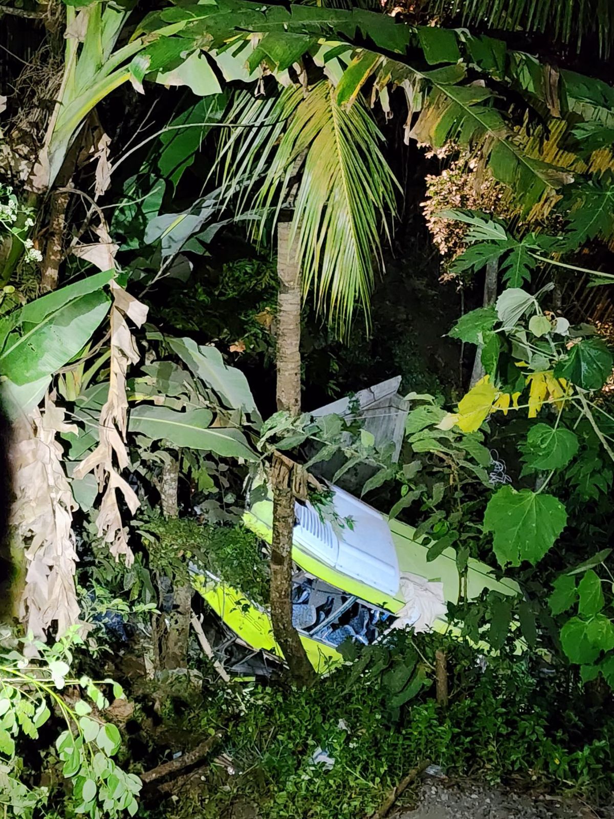 25 dead, 12 missing as bus falls into ravine in Antique