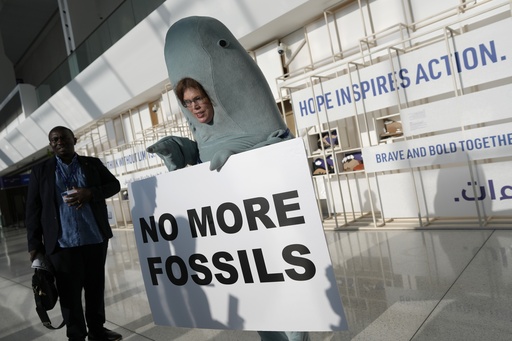 Alice McGown holds a sign reading "no more fossils" while dressed as a dugong at the COP28 U.N. Climate Summit, Sunday, Dec. 3, 2023, in Dubai, United Arab Emirates. (AP Photo/Peter Dejong)