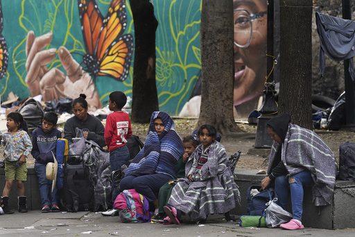 México y Venezuela reinician vuelos de repatriación de migrantes