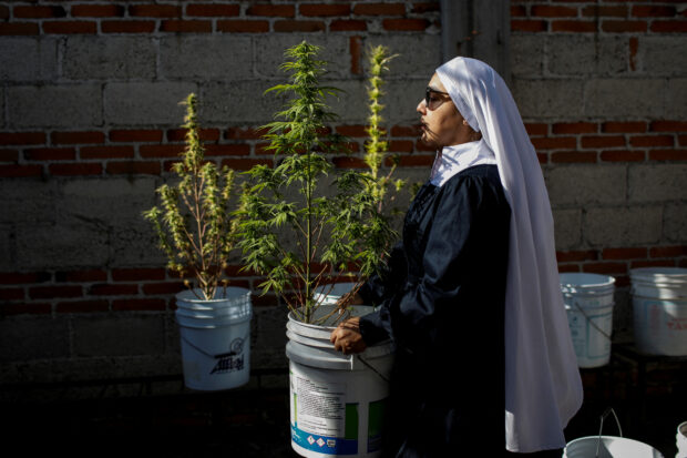 Mexico’s weed ‘nuns’want to take the plant back from the narcos