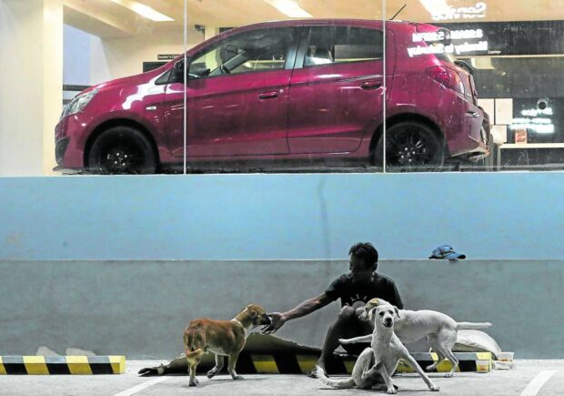 STREET COMFORT Jorge, a street dweller, takes comfort in the company of his pets at the parking lot of a car showroom in Matandang Balara, Quezon City, where he says he usually sleeps at night. 