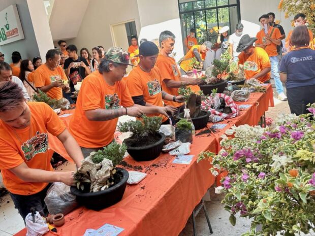 GREEN THUMB Contestants in the five-minute, on-the-spot dish garden design competition show off their skills at the 26th Halamanan Festival held on Jan. 18 in Guiguinto, Bulacan. —CARMELA REYES-ESTROPE