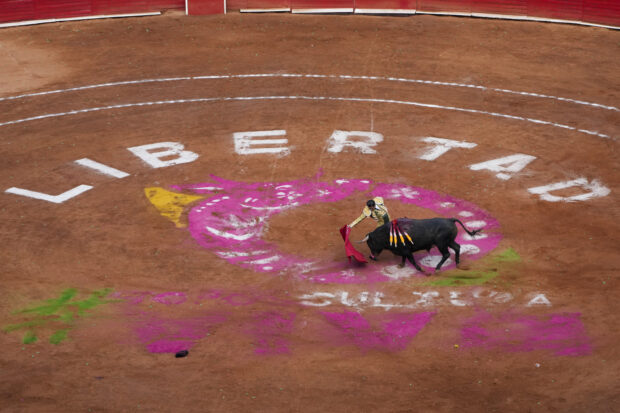 Bullfighting resumes in Mexico City 