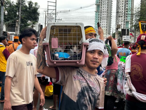 A man brings his pet cats with him at the procession of the Black Nazarene (Photo by Zeus Legaspi) 