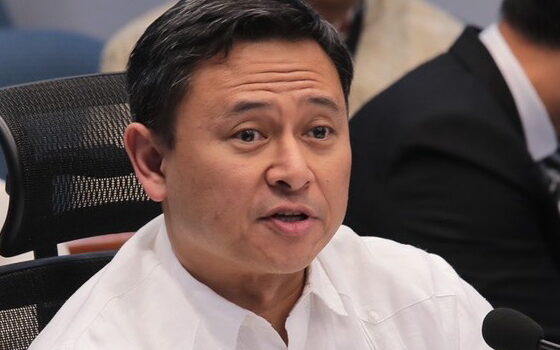  No to foreign ownership of basic education institutions - Angara