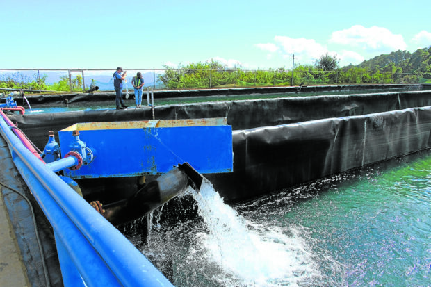 Baguio water safe, exec assures public