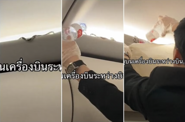 Snake on a plane alarms passengers on AirAsia flight