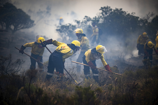 South Africa evacuates Cape Town area amid wildfires