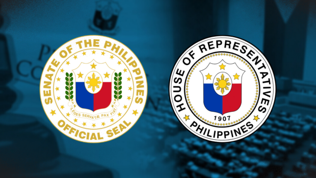 House solons deny there is Senate "bullying," asserting that debates are part of democracy