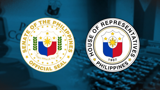 Senate, House urged to focus more on priority bills than ‘word war’