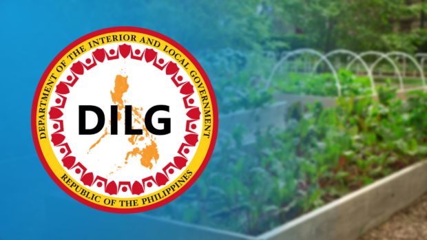 Some 25,000 barangays in the country now have their own community gardens, the Department of the Interior and Local Government (DILG) said on Sunday.