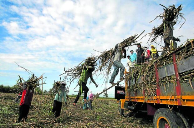 HACIENDA TOIL Workers load newly harvested sugarcane at Barangay Mabilog, Concepcion, Tarlac, in this November 2011 file photo. In Negros Occidental, farm workers like them recently secured a favorable Supreme Court ruling in connection with a 2009 labor case. —LYN RILLON