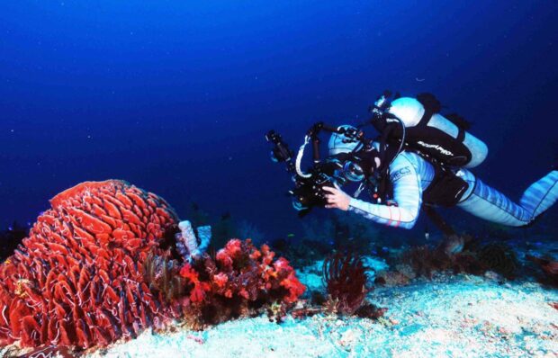 A diver takes photos of Camiguin’sunderwater sights during the island province’s first Dive Festival in 2019. 
