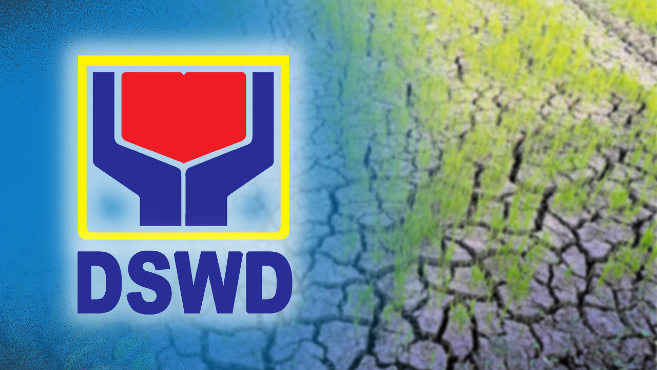 The Department of Social Welfare and Development (DSWD) said on Friday that it has distributed more than P101-million worth of aid to families affected by the El Niño.
