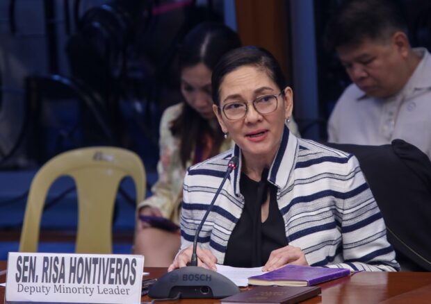 Senator Risa Hontiveros on Monday maintained that the involvement of third parties in doing transmission projects within the energy sector may only do more harm than good.
