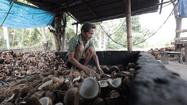 COPRA MAKING A coconut farmer works in his copra making shack in Unisan, Quezon, in this 2016 photo. —DELFIN T. MALLARI JR.