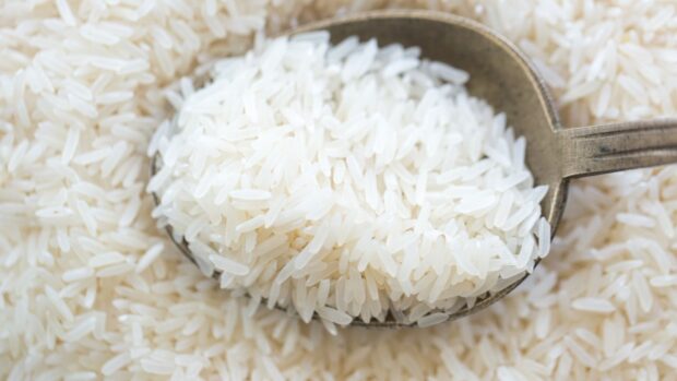 PHOTO: Uncooked rice grains with a spoon. STORY: Rice instead of cash? DSWD says it’s not feasible