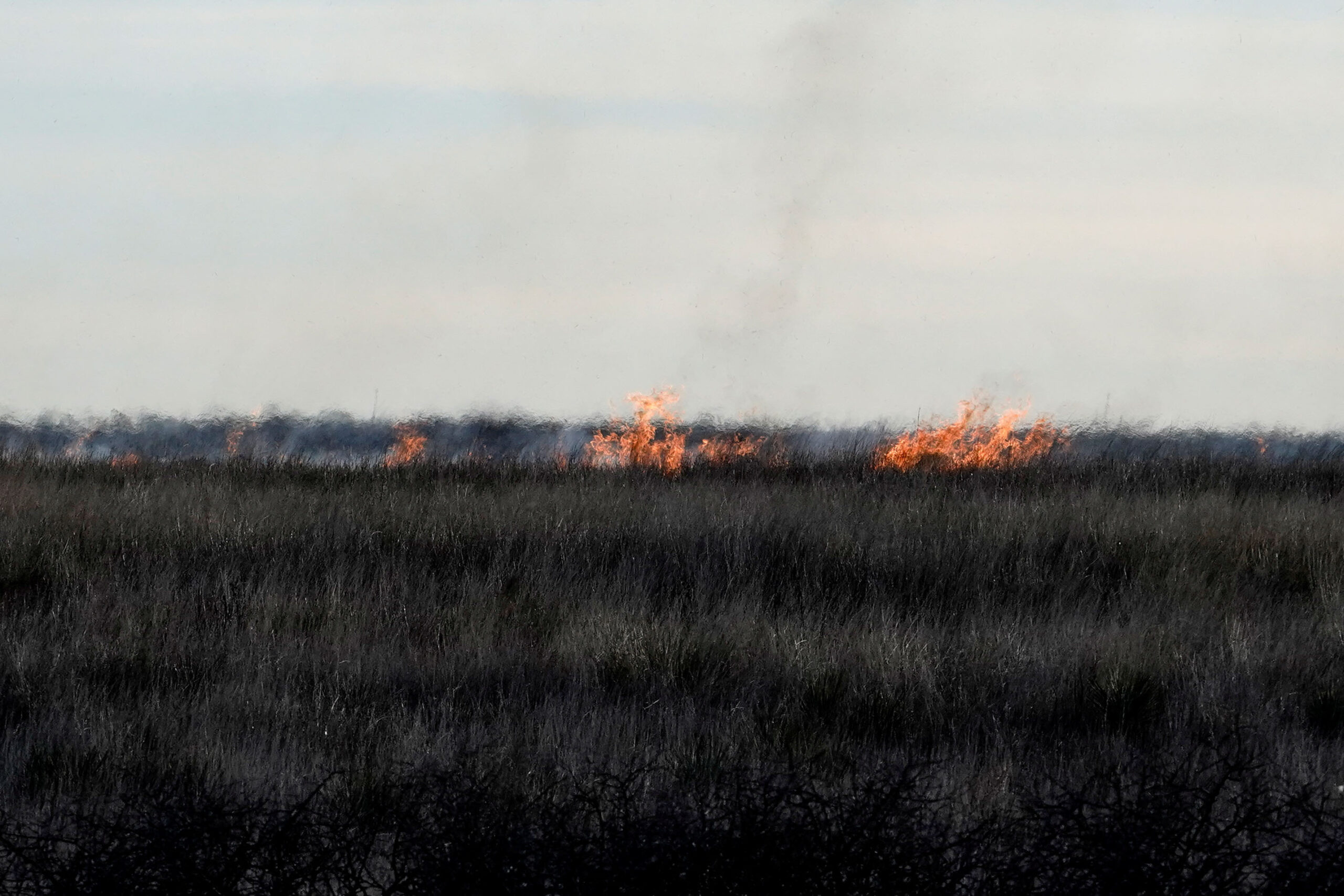 Second-largest wildfire in Texas history rages across Panhandle