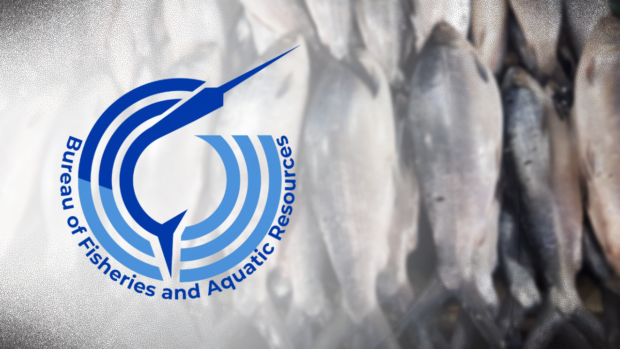 BFAR warns of fish kill due to El Niño