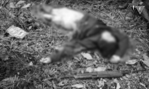 Alleged regional NPA leader killed in clash with soldiers in Zamboanga del Sur